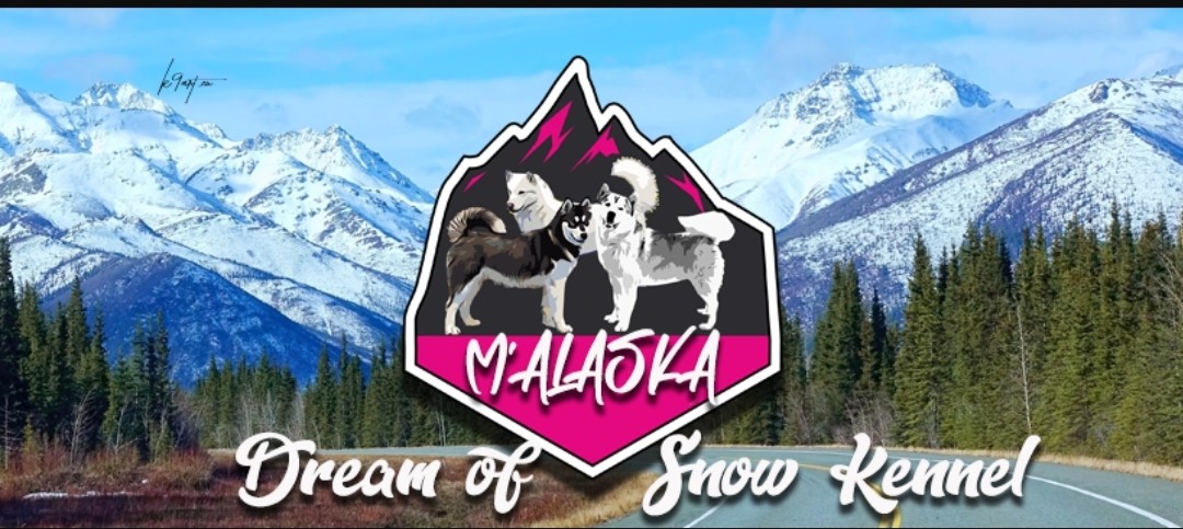 M'alaska Dream Of Snow